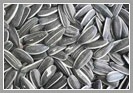Grey Sunflower Seeds